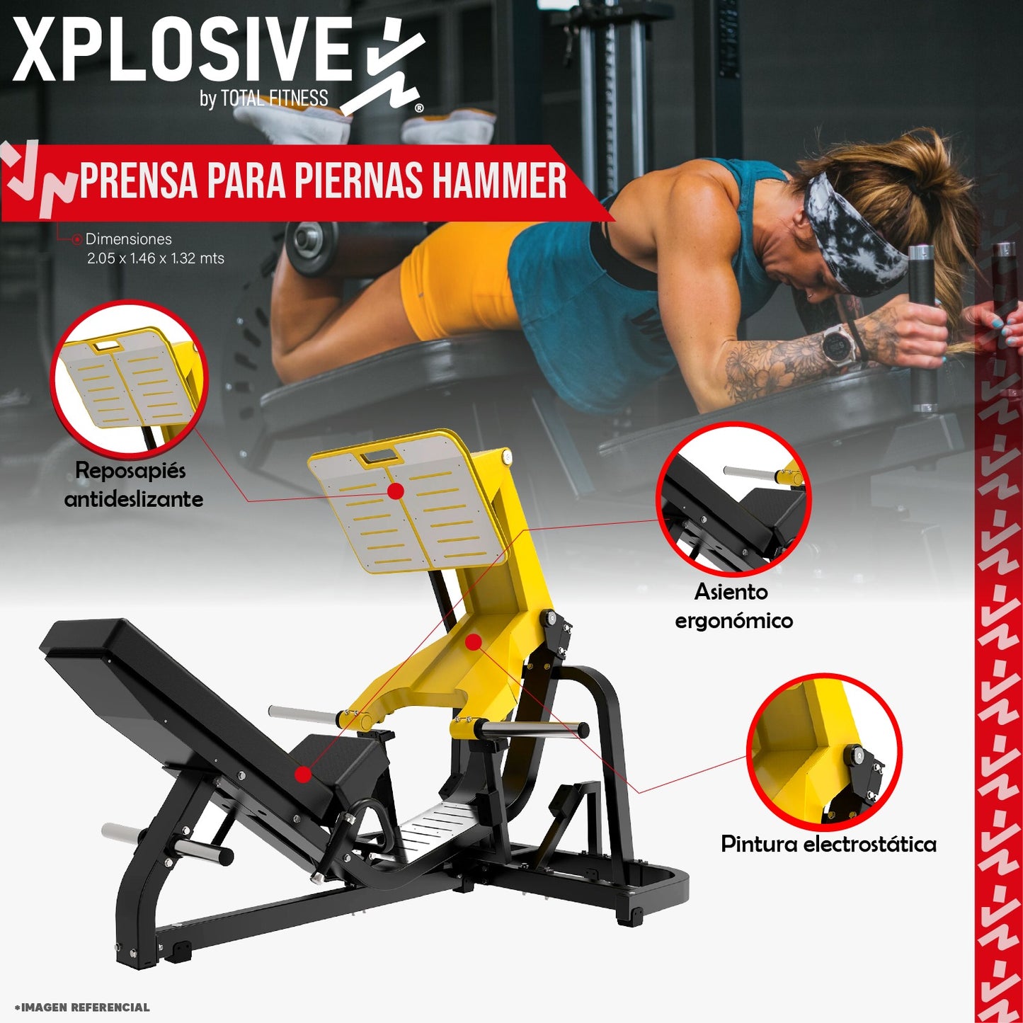 Prensa para Piernas Hammer